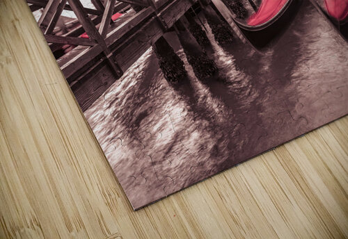 Venice Gondolas Assaf Frank puzzle