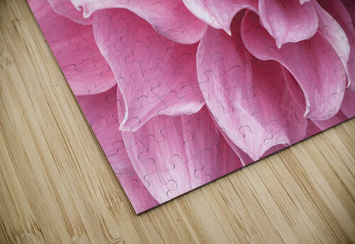 Dahlia Petals Assaf Frank puzzle