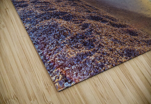 Sea Sunset Assaf Frank puzzle