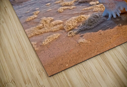 Murex Seashell Sunset Gill Billington puzzle