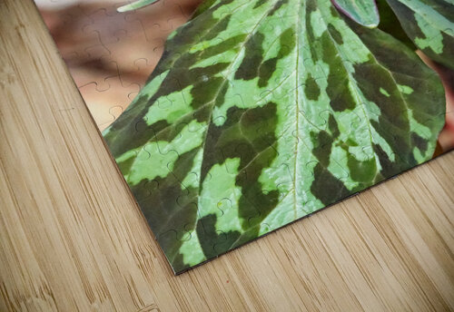 Little Sweet Betsy Deb Oppermann puzzle