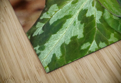 Little Sweet Betsy I Deb Oppermann puzzle