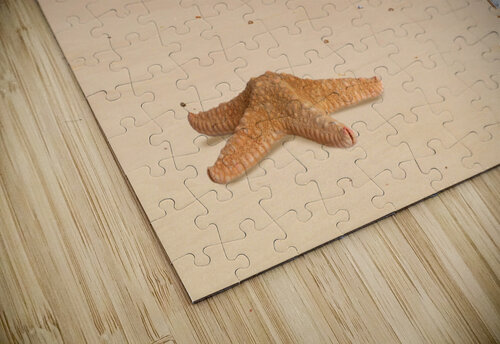 The Sands Of Time Gill Billington puzzle