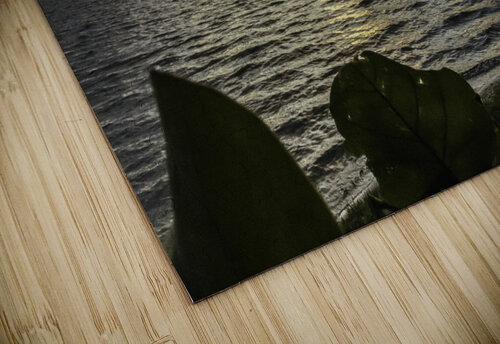 Sea Grape Window Kai Hoskins puzzle