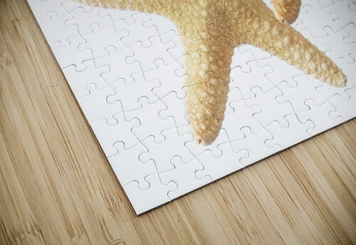 Starfish On White Gill Billington puzzle