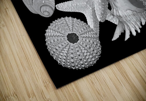Treasures of the Deep in Black and White Gill Billington puzzle