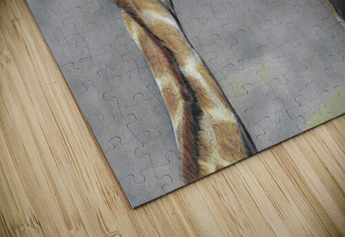 Giraffes Interrupted Lindsay Mawson puzzle