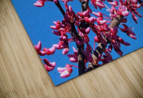Eastern Redbud Blue Sky Deb Oppermann puzzle