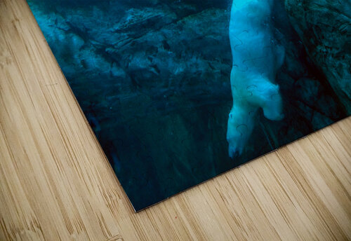 Bears Underwater One Simple Gallery puzzle
