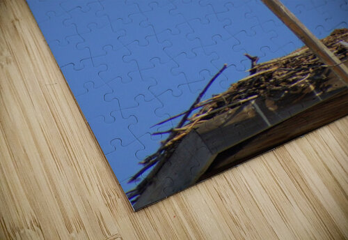 Were a pair Dustin Rogers puzzle