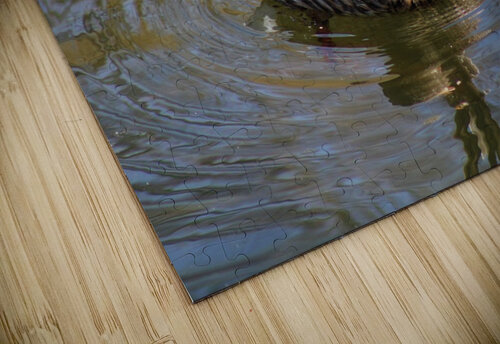 Acrobatics Dustin Rogers puzzle