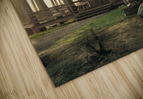 Forest Reemart puzzle