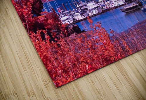 Harbour View CRB Images Photography puzzle
