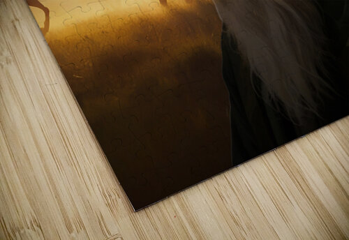 SADNESS Photographer and Designer puzzle