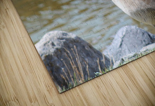 Elegance is my fair Dustin Rogers puzzle