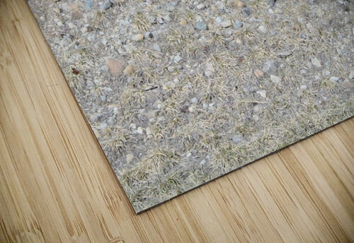 Look closely Dustin Rogers puzzle