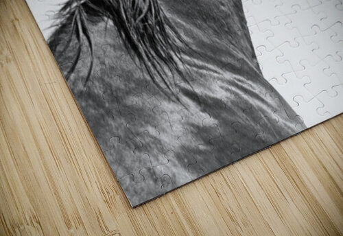 Arabian Wild Horse Cat van Kay puzzle