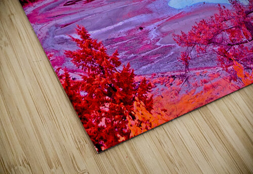 Kye Bay In Infrared CRB Images Photography puzzle