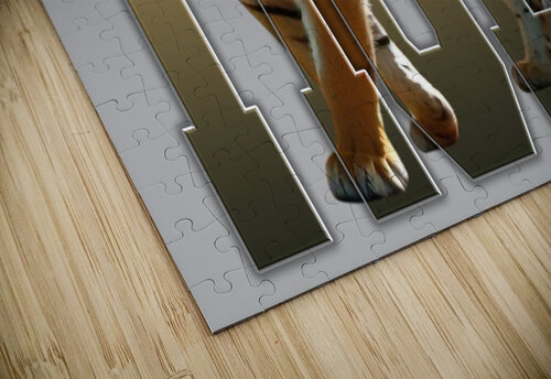 tiger Photographer and Designer puzzle