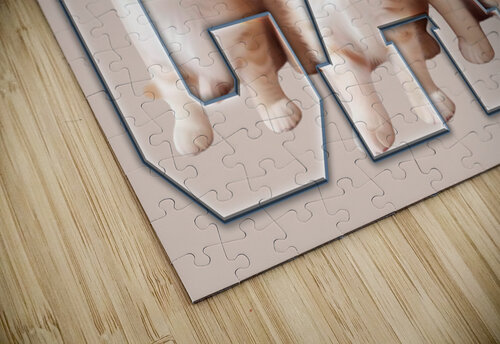 kittens Photographer and Designer puzzle