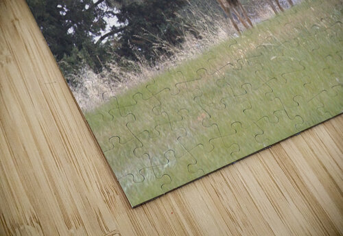 3 deer Dustin Rogers puzzle