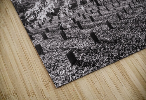 lynchburg old city cemetery BWpink Norma Brandsberg Photography puzzle