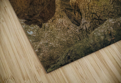 St. Johns Island Angel Oak Tree Branches Norma Brandsberg Photography puzzle