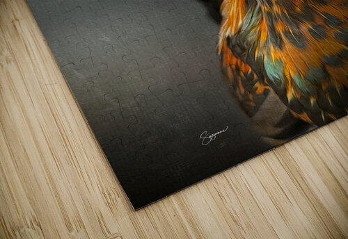 Willy the Rooster Suzanne Sturgill puzzle