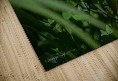 DSC 0021 Samantha Kobierowski puzzle