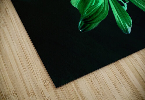 Abstract Green Glowing Cone Flower Catriona Roberts Nature Photography and Designs puzzle