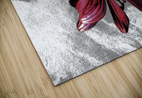 Abstract Textured Maroon Cone Flower Catriona Roberts Nature Photography and Designs puzzle