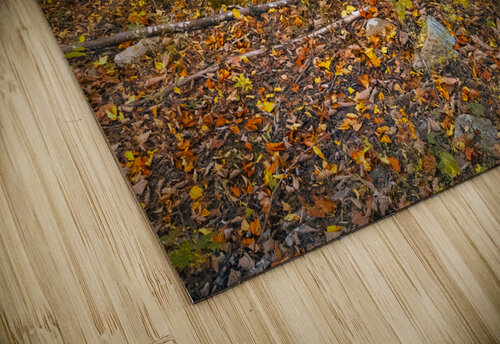 Truck Parked Forever Norma Brandsberg Photography puzzle