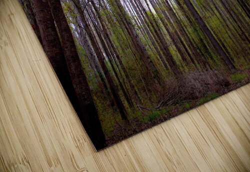 Abbey Woods Steven H Gordon puzzle