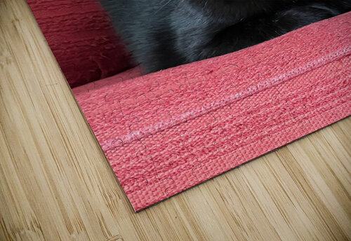 Black Cat Red Chair Steven H Gordon puzzle