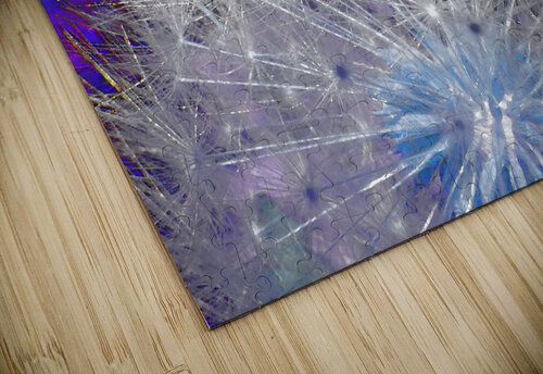 Abstract Coloured Dandelion Seeds Close Up Catriona Roberts Nature Photography and Designs puzzle