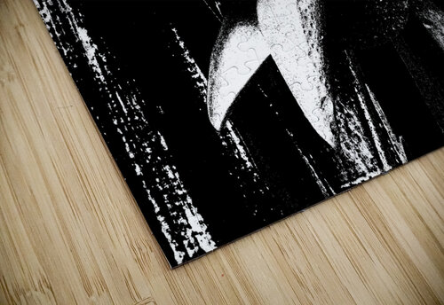 Distressed Abstract Black and White Trio of Lilies Catriona Roberts Nature Photography and Designs puzzle