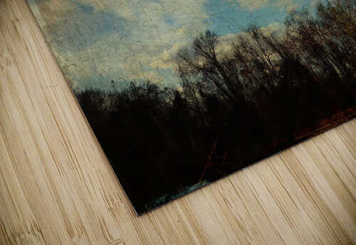 Clouds Ascending over Trees Steven H Gordon puzzle
