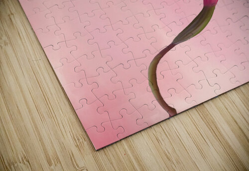 Swirl Pat Campbell puzzle