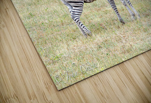 Zebras JohnCreesePhotography puzzle