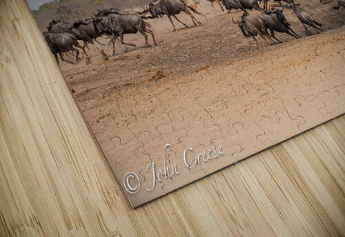 Wildebeest JohnCreesePhotography puzzle