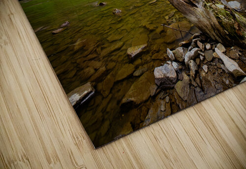 Ithaca Falls Andy Crawford puzzle