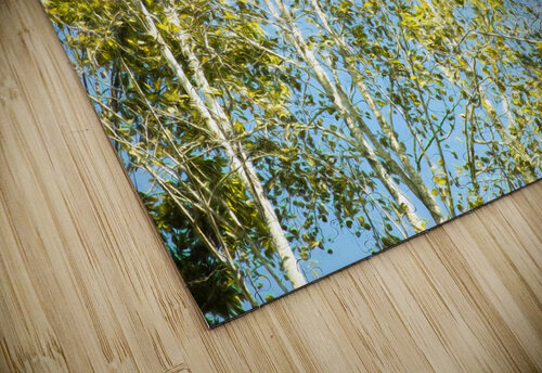 Aspen and Blue Skies Thea Menagh puzzle