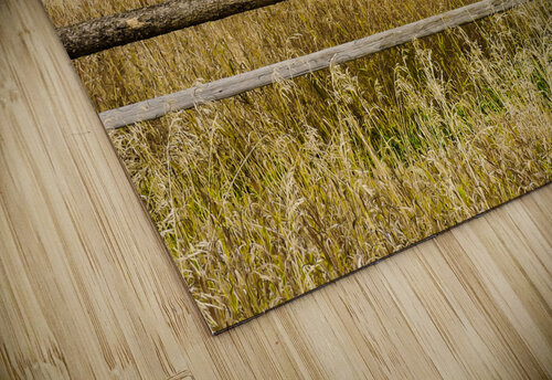 Lonely Moulton Mormon Row Prairie Dwelling Norma Brandsberg Photography puzzle