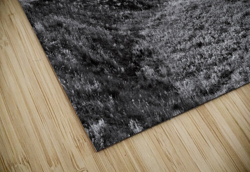 Teton Mountain  Valley View in Black and White Norma Brandsberg Photography puzzle