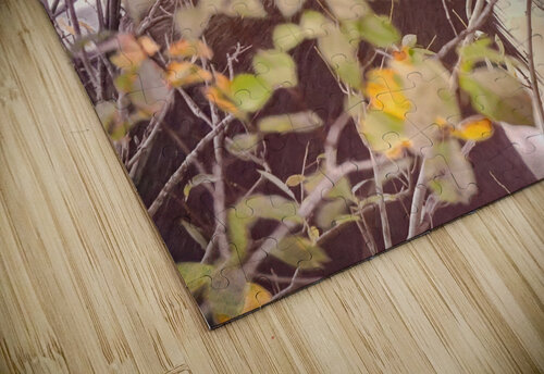 Teton Moose in the Bushes Norma Brandsberg Photography puzzle