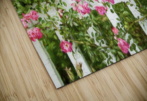 Fancy Fence Thea Menagh puzzle