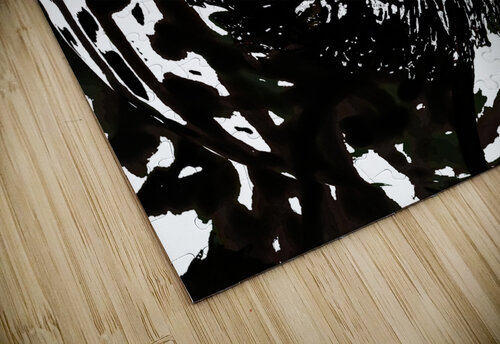  Abstract Swirling Black and White Woodland Plant Catriona Roberts Nature Photography and Designs puzzle