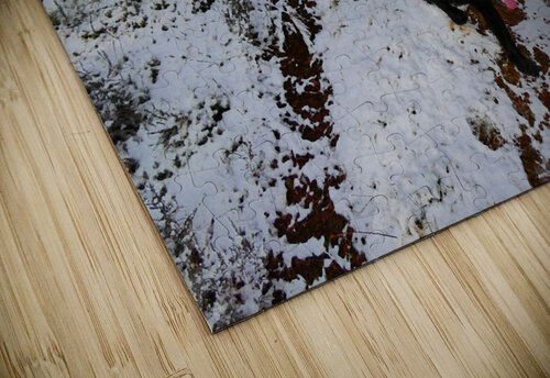  A Winters Walk in the Woods in the Scottish Highlands Catriona Roberts Nature Photography and Designs puzzle