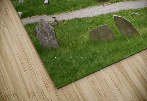 CCBG Phila 08 maniacvii puzzle