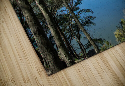 Through to the Susquehanna River JLW Photos puzzle